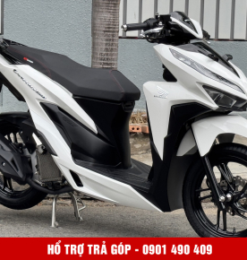Vario 150 59L3-00079
