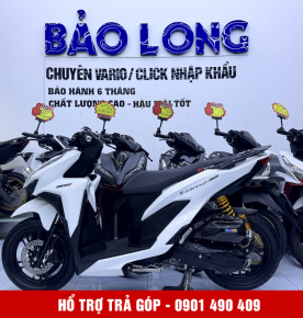Vario 150 59ZA-09029