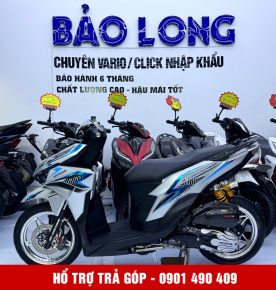Vario 150 59P2 - 80087