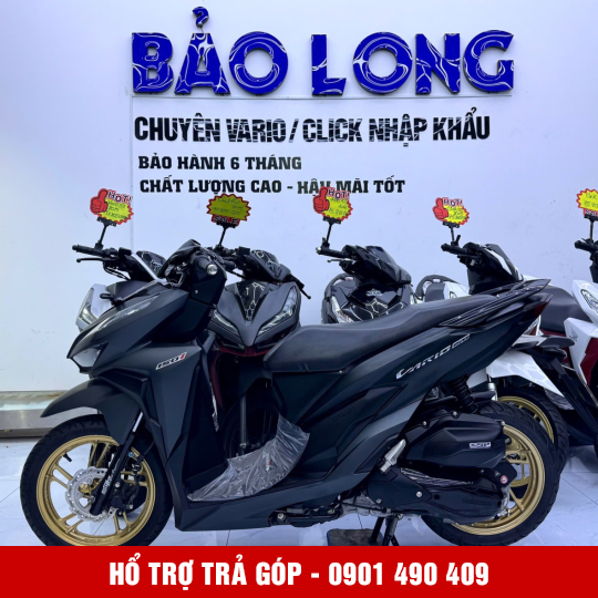 Vario 150 59PA-18621 