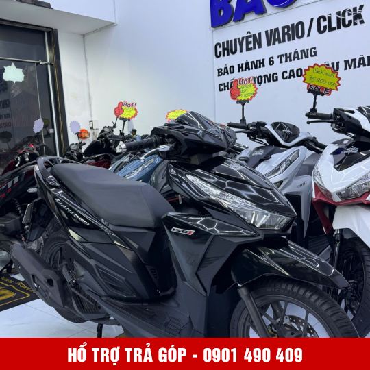 Vario 150 59L2-37091