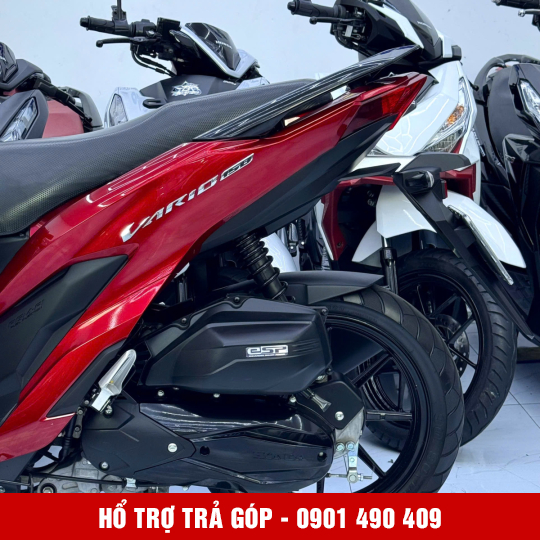 Vario 150 50Y1-33592