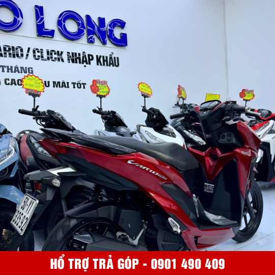 Vario 150 50Y1-33592