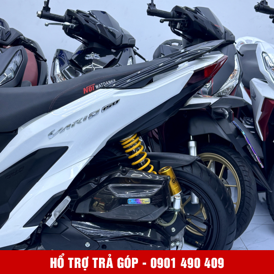 Vario 150 59ZA-09029