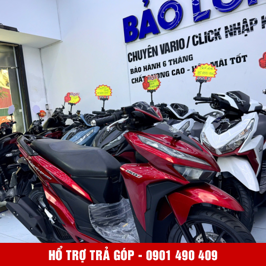 Vario 150 50Y1-33592