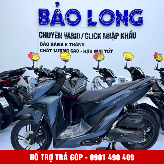 Vario 150 65E1-43607