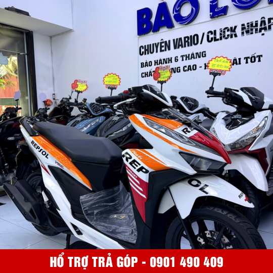 VARIO 150 59C3 - 01877