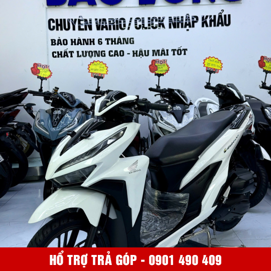 Vario 150 59U2-23808