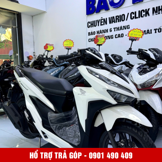 Vario 150 59U2-23808