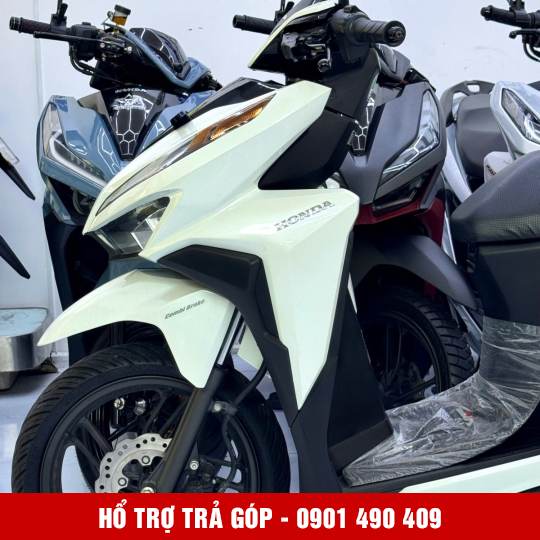 Vario 150 59L2-74376