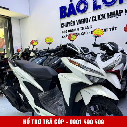 Vario 150 59L2-74376