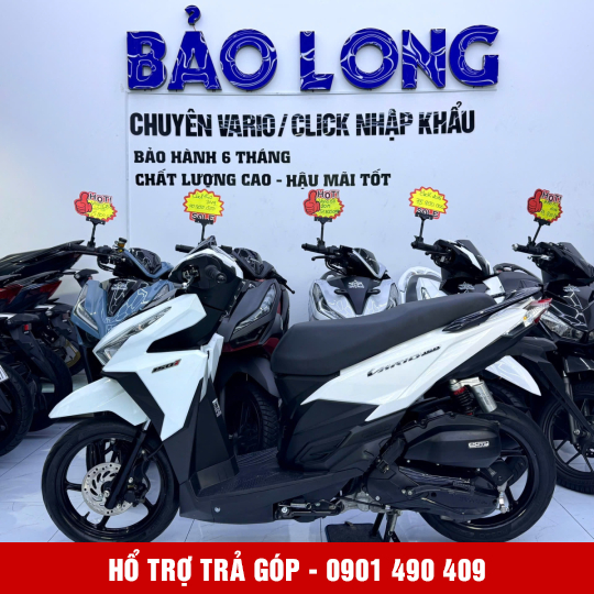 Vario 150 59V2-67569