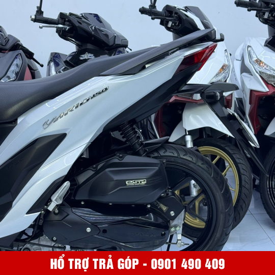 Vario 150 59K2-46635