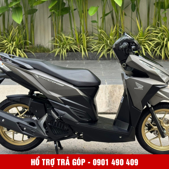 Vario 150 Date 2017